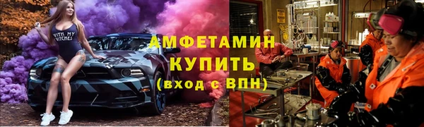 стафф Алзамай