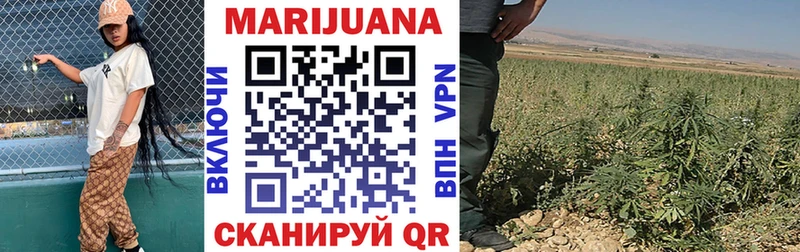 Бошки Шишки семена  где можно купить   Боровск 